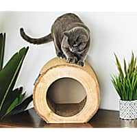 Park & Bench Birch Cat Scratcher