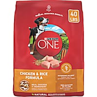 Purina ONE Chicken & Rice Formula Dry Dog Food