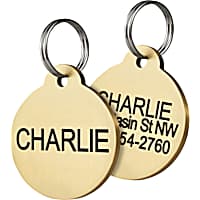 GoTags Personalized Solid Brass Round Pet ID Tag for Dogs and Cats, Engraved on Both Sides