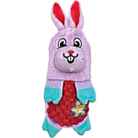 KONG Spring Huggz Farmz Bunny Dog Toy