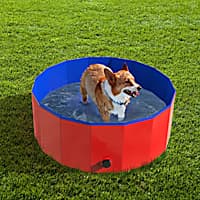 Petco dog bath tub store
