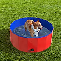 Pet Cat and Dog Spa Machine Milk Bath Bath Bathtub Swimming Tank