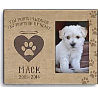 Pet outlet caskets petco