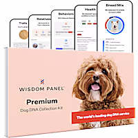Wisdom Panel Premium Breed & Health Condition Identification DNA Test For Dogs
