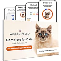 Wisdom Panel Complete Cat DNA Test
