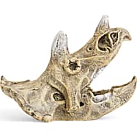 Imagitarium Triceratop Skull