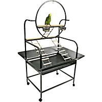 A&E Cage Company Black The "O" Parrot Play Stand with Ladder