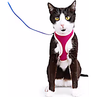 YOULY Mesh Cat Harness & Leash Set