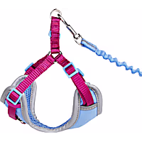 YOULY Reflective Utility Cat & Large Cat Harness & Leash Set