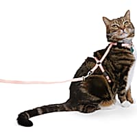 Cat and Kitten Collars Harnesses Leashes Chains Petco