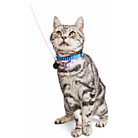 YOULY Galaxy Kitten Harness & Leash Set
