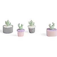 Imagitarium 4-piece Succulent Accents