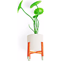 Imagitarium Modern Planter