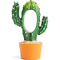 Imagitarium Terracotta Cactus