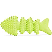 Leaps & Bounds Rubber Fish Dog Toy