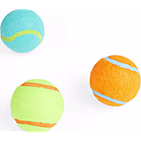 Leaps & Bounds Tennis Balls Toy for Dogs