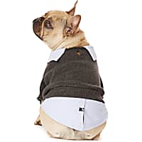 Hotel Doggy Gray Fooler Dog Sweater