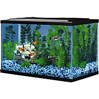50 gallon fish clearance tank starter kit