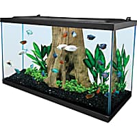 Blue Planet Glass Aquarium 41x28x30cm 30L – Pet Supplies Empire