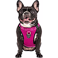Canada Pooch Pink Everything Dog Harness