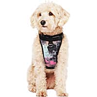 Canada Pooch Black Everything Tie Dye Dog Harness