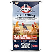 Kalmbach Feeds Full Plume Feathering Feed