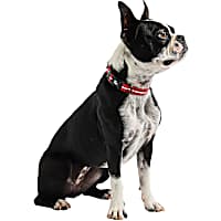 GF Pet Red Reflective Dog Collar