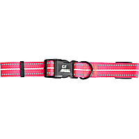GF Pet Neon Pink Reflective Dog Collar