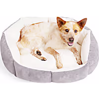 EveryYay Lavender Orthopedic Dog Bed