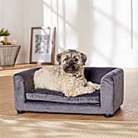 Enchanted Home Pet Grey Cookie Sofa