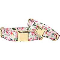 Pink Papyrus Isabella Floral Gold Dog Collar