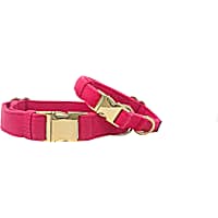 Pink Papyrus Antoinette Pink Gold Dog Collar