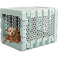 24 inch online dog crate petsmart