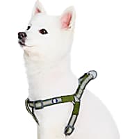 Sensation harness petco deals