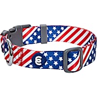 Blueberry Pet Essentials American Flag Dog Collar