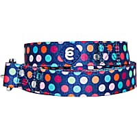 Blueberry Pet Essentials Rainbow Polka Dots Dog Leash