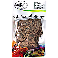 Pro Bugs Repashy Eco-Fresh Black Soldier Fly Larvae