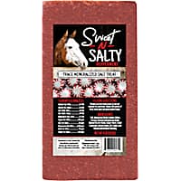 Kalmbach Feeds Sweet 'N Salty Peppermint Flavored Treat Brick for Horses