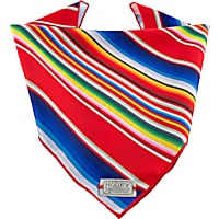 Hooey Serape Mercantile Dog Bandana