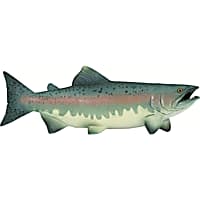 Safari Ltd Salmon Toy Figure