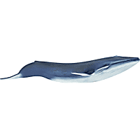 Safari Ltd Blue Whale Toy Figure