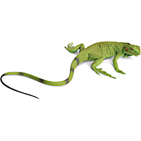 Safari Ltd Iguana Baby Toy Figure