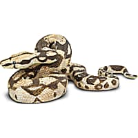 Safari Ltd Boa Constrictor Toy Figure