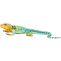 Safari Ltd Collared Lizard Toy Figure