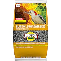 AUDUBON PARK Black Oil Sunflower Seed Wild Bird Food