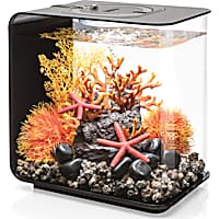 biOrb FLOW 15 Black Aquarium MCR Light