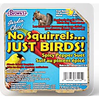 Brown's Garden Chic! No Squirrels Just Birds! Suet Cake