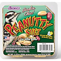 Brown's Garden Chic! Peanutty Suet Cake