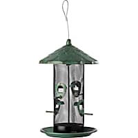 More Birds Acorn Screen Bird Feeder