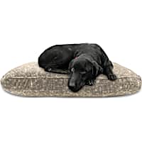 Canine Creations Tan Rectangle Dog Bed